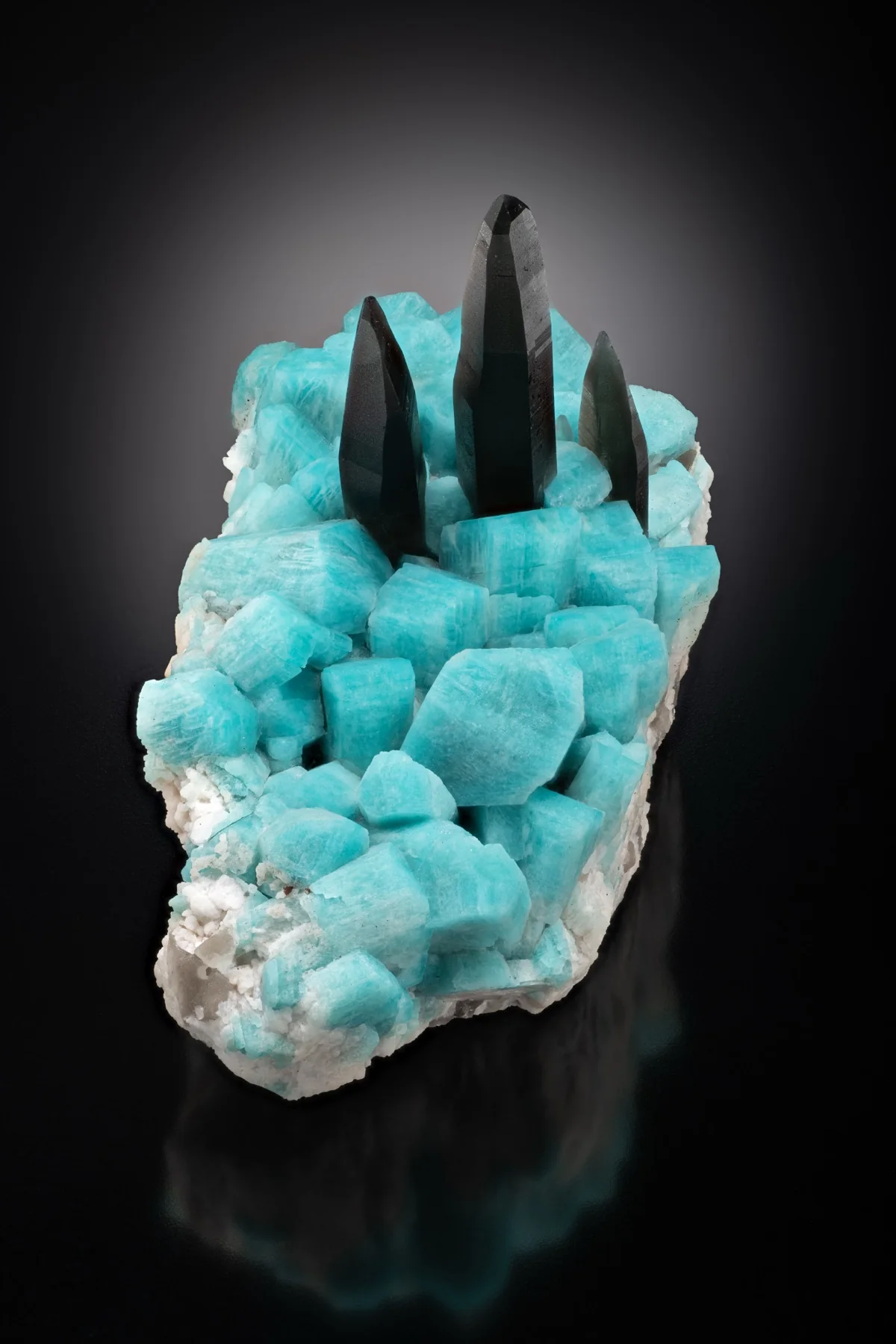 Amazonite and smoky quartz specimen selected in a Display Case.